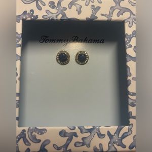 Tommy Bahama Blue Stud Earrings with Silver Accent